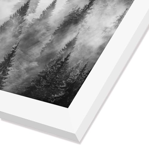 Americanflat 24x24 Picture Frame with Polished Plexiglass - Epic Collection - Square Picture Frame with Engineered Wood - Wide Photo Frames for Wall display - White