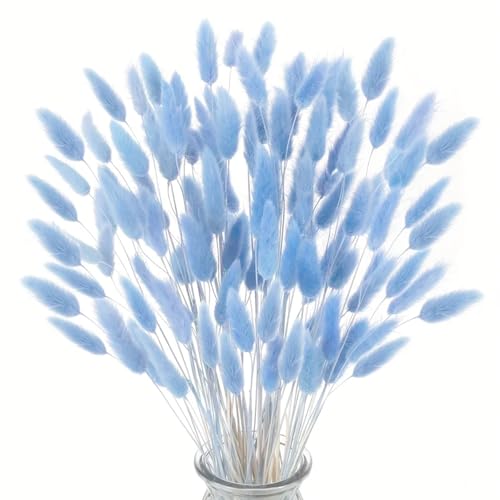 deegbbyi 120 peças decoração de erva de ampa seca azul, flores secas de cauda de coelho, decoração de estilo boémio, para casamentos, decoração de casa, festas, vasos decorativos