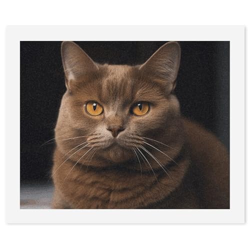 Kit de pintura por números de gato marrón para adultos principiantes RTBKLYQ
