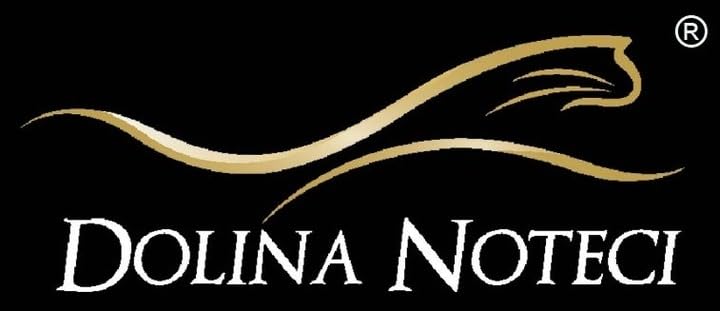 Dolina Noteci Junior Glutenfrei Premium mokra karma dla małych psów, bogata w żołądki z wątróbką cielęcą, workiem, 10 x 100 g, mokra karma dla szczeniaków