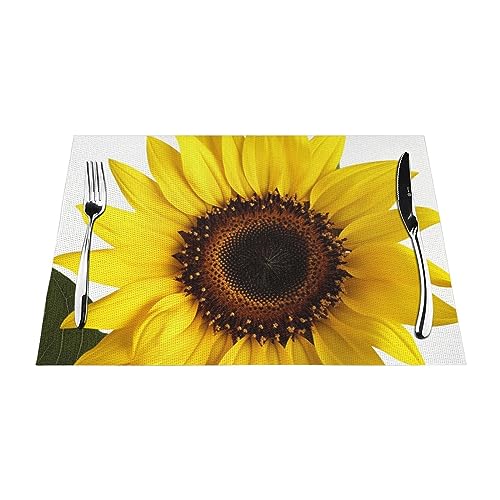 Sets de table antidérapants en PVC lavable pour protéger votre table basse de la chaleur en lot de 6