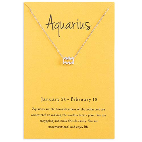 Cyberny Women Silver Plated Aquarius Pendant Necklace 18" Cyberny Women Silver Plated Aquarius Pendant Necklace 18"