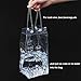 Ice Wine Bag Portable Collapsible Clear Wine Pouch Cooler with Handle for Party,Outdoor,Champagne,Cold Beer,White Wine,Chilled Beverages,Iced Drinks 3 Pack (2)