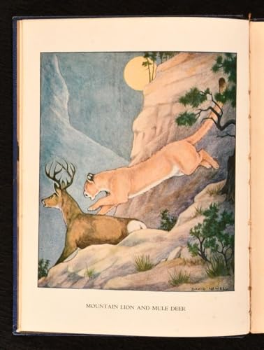 American Animals [Unknown] B000QA9BLS Book Cover