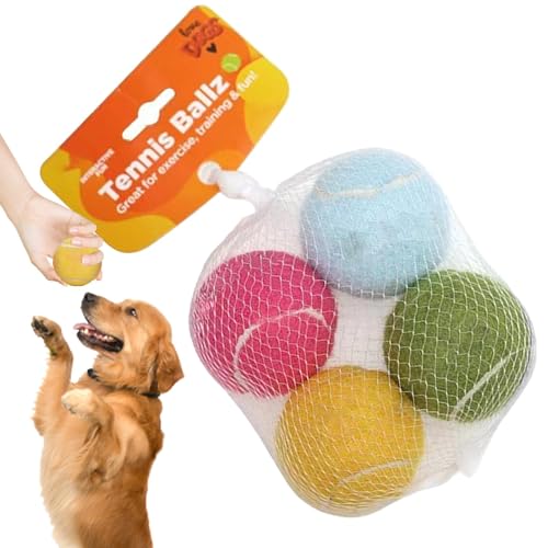 Aggressive Chewer Ball, Dog Ball Toys, Interactive Pet Toys, Squeaky Pet Ball, Puppy Play Balls, Tough Dog Toys, Pet Fetch Balls