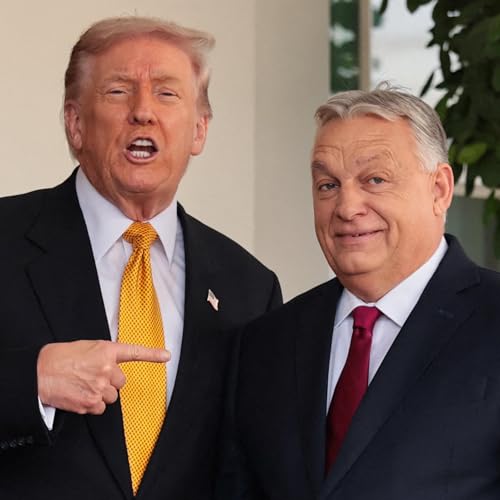 The volatile value of brand Trump