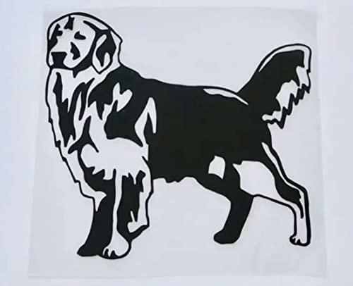  S[fgo[ XebJ[ ubN   CeA  킢 ^