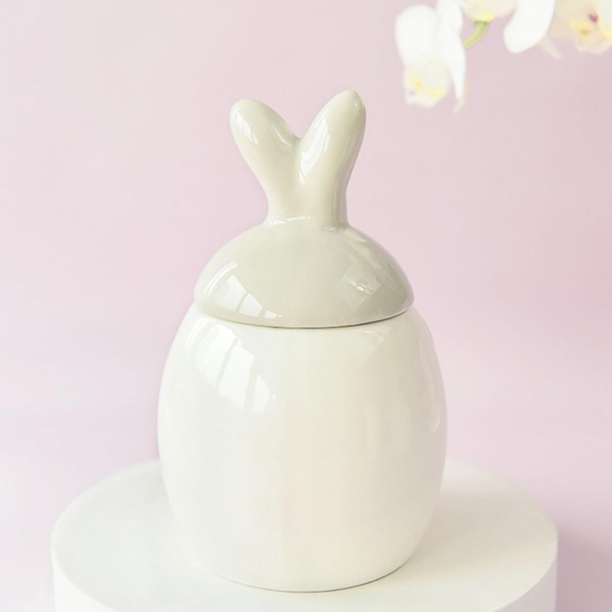 Contenitore in Ceramica per Alimenti 1000ml a Forma di Coniglietto, Barattolo per Spezie e Bustine di Tè, Conservazione Salvaspazio per Cucina e Dispensa