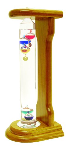 Chaney Instrument Galileo Thermometer w/ Wood Base : Amazon.in: Garden ...