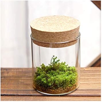 Amazon Co Jp 観葉植物 苔ｔｅｒｒａｒｉｕｍ スナゴケ コルクボトル ミニ 説明書付 Diy 工具 ガーデン