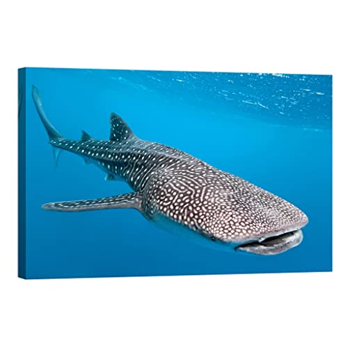 Tableau toile animaux illuminez votre salon avec cette toile luminescente 80x120