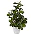 Nearly Natural Peperomia Artificial Plant in Decorative Planter, Green, 16in.