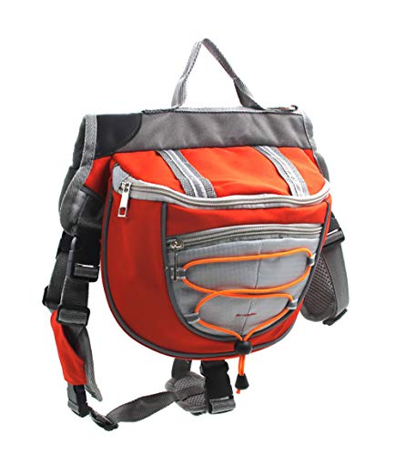 Sac à dos pour chien de randonnée et camping pour explorer la nature ensemble
