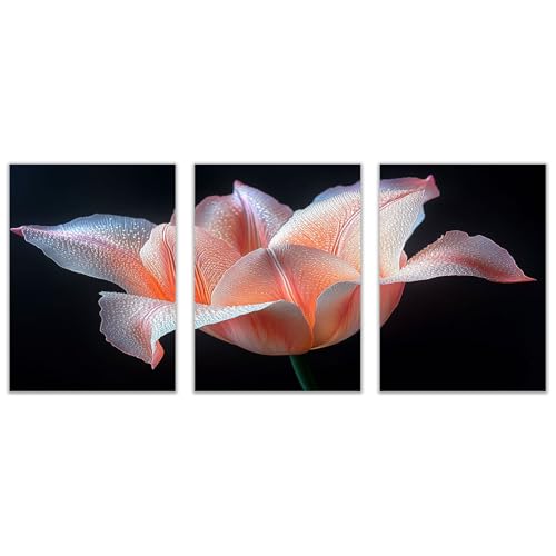 AMXBZC 3Pcs Cuadros Decoracion Salon Modernos Flores naturales vintage Arte Impresión Decoración -Dormitorios Comedor Oficina Pasillo Cocina Y Baño（rosado-20x30cmx3 Sin marco