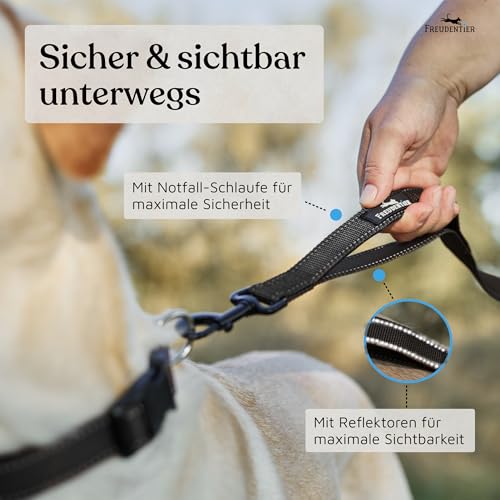 FREUDENTIER Umhängeleine Hund - Hundeleine 3m zum Umhängen, stufenlos verstellbar - Leine für kleine, mittelgroße & große Hunde (Schwarz, 3m)