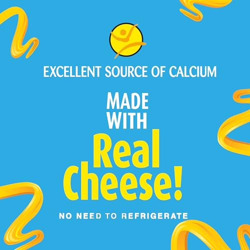 EASY CHEESE American Cheese Snack, 12-8 oz Cans - image 5