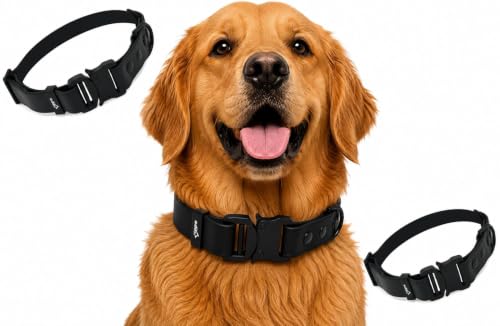 Image of Adil's Biothane Waterproof Dog Collar, Dog Leash & Collar Leash Combo | Heavy Duty TPU Coated Webbing | Adjustable Quick Release Buckle | Odour Resistant (Black, M-18, Collar only)