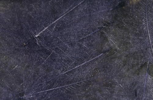 Hareline Fly Tying Cul de Canard (CDC) - Natural CDC Feathers for Fly Tying Dry Flies, Emergers & Comparaduns