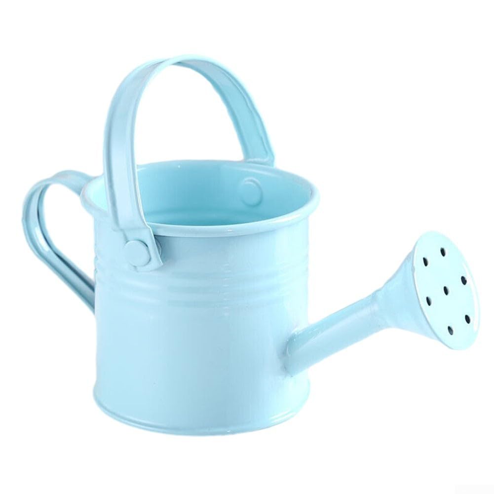 SPORTARC 1 pcs Watering Can， Garden Small Water Spraying Pot Flower Kettle Metal Watering Can Sprinkled(Light Blue)