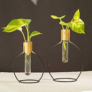 TIED RIBBONS Decorative Test Tube Planter Flower Vase with Metal Stand (Set of 2, Black) for Money Plant Flowers Home Decor Office Living Room Indoor Outdoor Living Room Table Top Decoration