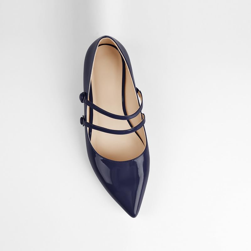 Mary Jane Pointed Toe Double Strap Retro Flats2