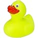 Komodo Rubber Duck Toy for Aquatic Turtles, Assorted Colors