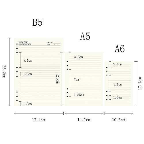 Zhi Jin, inserti di carta standard a 6 fori