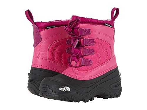 The North Face Alpenglow IV Boots - Youth4