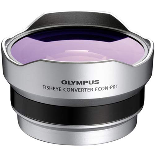 Amazon.com : OM SYSTEM OLYMPUS FCON-P01 Fisheye Converter For