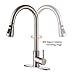 Kitchen Faucet-Single Handle Stainless Steel Kitchen Sink Faucet with Pull Down Sprayer Solid Brass Faucets for Kitchen Sinks (Brushed Nickel Moone )