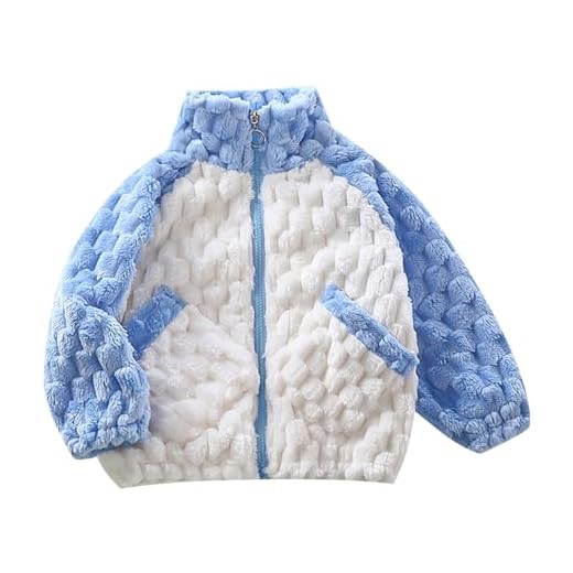 Boys Girls Fleece Jacket with Hood Thick Warm Outerwear Baby Boys Girls Autumn Winter Long Sleeve Thick Warm Outerwear (Blue, 2-3 Years)