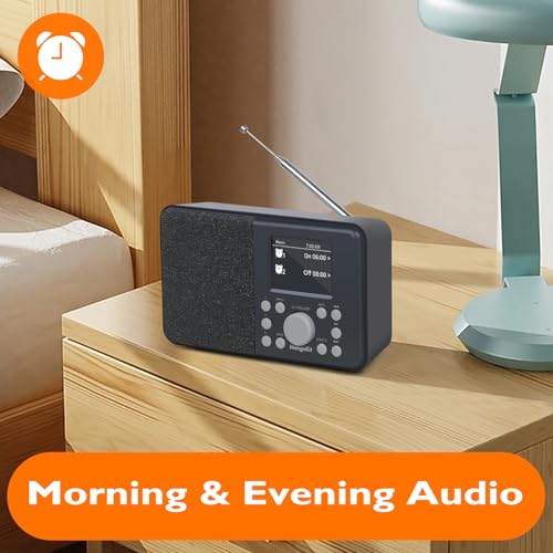 Radio numérique portable DAB/DAB+ et FM MD3 couleur charbon