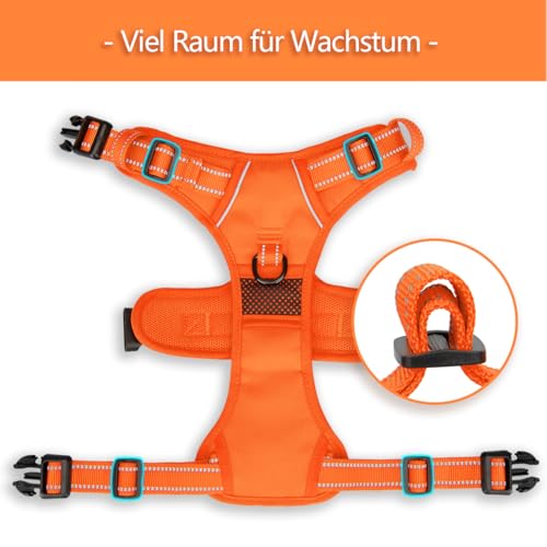 PoyPet Keine Pull Hundegeschirr, Reflektierendes Hundegeschirr für Hunde ohne Choke, Verstellbare, weich gepolsterte Haustierweste mit Easy Control-Griff für kleine bis große Hunde (Orange,XS)