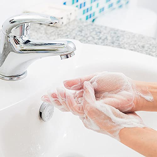 Ginger Lily Farms Botanicals All-Purpose Liquid Hand Soap, 100% Vegan & Cruelty-Free, Fragrance-Free, 12 Fl Oz (Pack Of 6) #TOP5