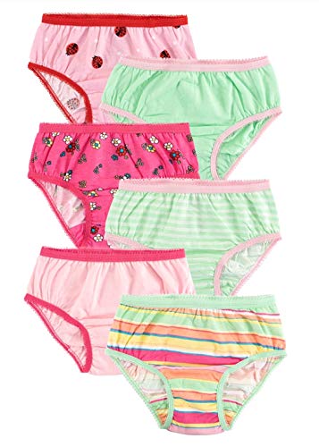 Assorted Prints 6 Pack Briefs Panties - 2T/3T