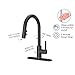 Pfister LG529-ESA Stellen 1.8 GPM Touchless Single Hole Pull Down Kitchen Faucet - Includes Escutcheon Plate - Matte Black