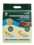 Japan Premium Pet Hundetoilette Trainingspads | Hochsaugfähige Pipi Matten für Hunde | 2-Polymer-Technologie | Geruchsneutralisierend & Rutschfest Welpen Unterlagen | Antibakteriell Puppy Pads | 48Stk