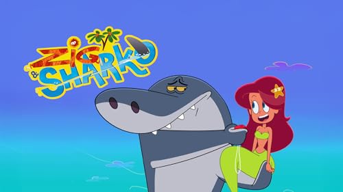 Zig & Sharko – vue 2