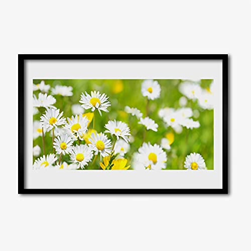Cadre en MDF avec affiche marguerite Tulup de qualité supérieure 60x40