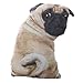 ZHQMeos Simulazione 3D Shar Pei Dog Cuscino Peluche Cuscino Regalo di Compleanno Rimovibile e Lavabile,Shar Pei (Rimovibile e Lavabile)