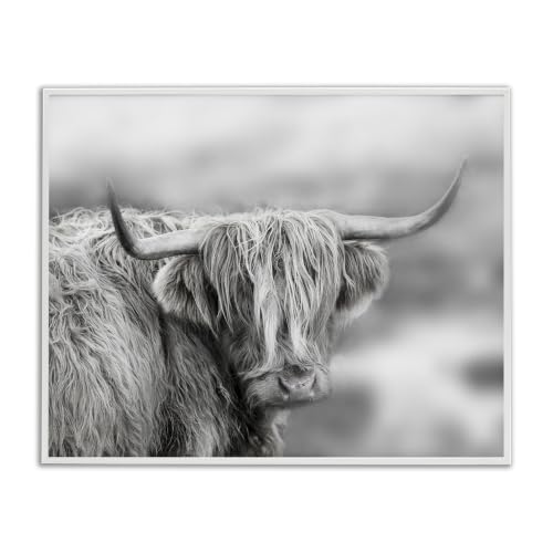 Monochrome Longhorn Cattle Portrait, 11 x 14 Inch Framed Giclée Print