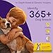 ORIVET Dog DNA Test Kit – Comprehensive Dog DNA Test Kit for 365+ Breed Identification & 265 Health Markers | At Home Dog DNA Kit with Canine Genetic Testing & Life Plan Genopet Rescue