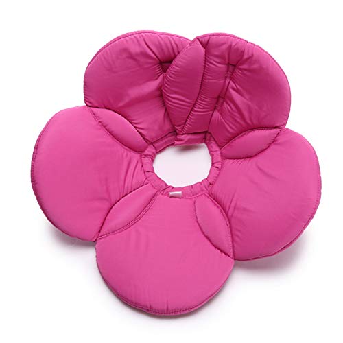 MEISISLEY Collare Elisabettiano Cane Collare