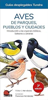 Aves de parques, pueblos y ciudades (AVES CULTURA POPULAR)