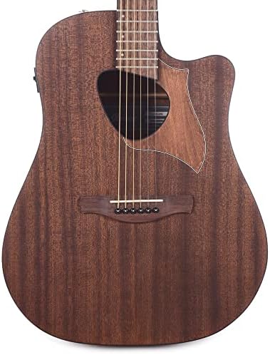 Ibanez ALT20 Acoustic Open Pore Natural