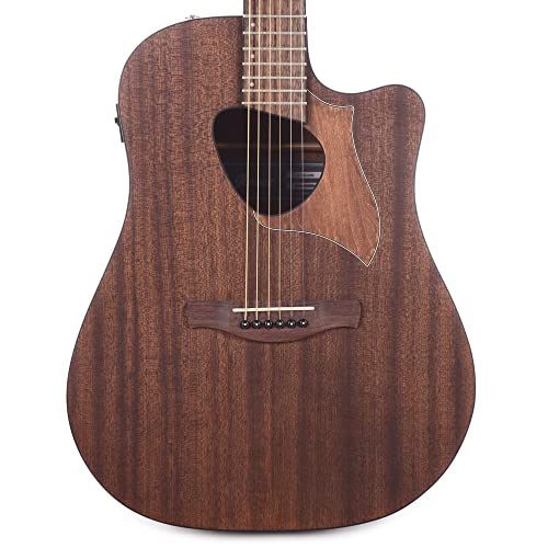 Ibanez Alt20 Acoustic Open Pore Natural #TOP3