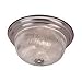 Livex Lighting 7415-91 Flush Mount with Clear Ribbed Glass Shades, Brushed Nickel