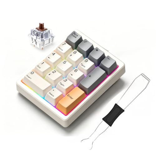 【700曲テンポ・キー変更可】ON STAGE PK-XA02W フルセット美品 Amazon | テンキー メカニカル 17 キー 茶軸 QMK/VIA 対応