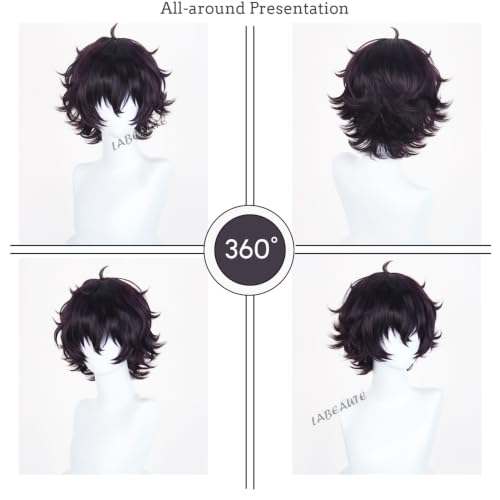 Image of LABEAUTE Agott Black Cosplay Wig 30CM / 11.8Inch Short Anime Wig | Heat Resistant Synthetic Hair for Costume Theme Party and Halloween