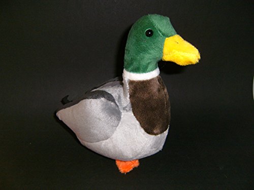 Unbekannt Cornelissen Unbekannte Stofftier-Ente 20 cm, Kuscheltier Drake